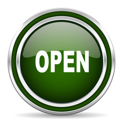 open green glossy web icon