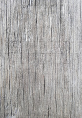background wood