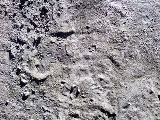 concrete texture in construction area