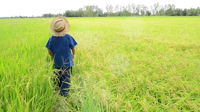 Young Asian boy in thai traditional blue shirt and straw hat feeling relax on the rice field before harvesting.