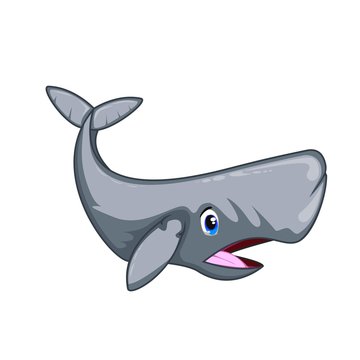 Sperm Whale Cartoon