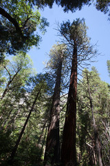 water falls in Yosemite