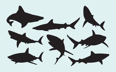Fototapeta premium Shark wild animal silhouettes