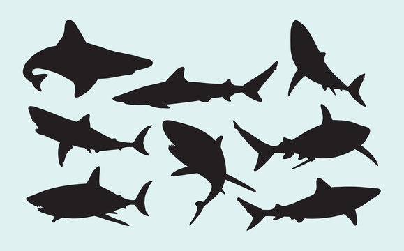 Shark wild animal silhouettes