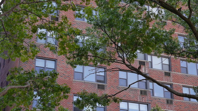New York City Apartment Building Establishing Shot
