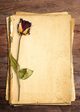 Dead roses put on old paper.
