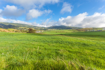 Obraz premium paysage des hauts de la Réunion, Plaine des Cafres 