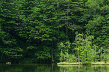 雨上がりの明神池