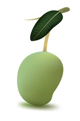 mango fruit vector for food and for use icon or symbol 