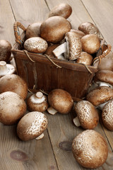 Brown cap mushrooms in basket