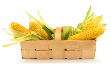 Ripe corn with green leaves in the wooden box - 90731415