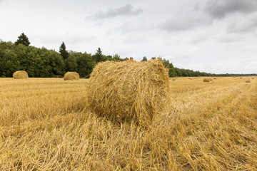 stack of hay