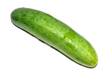 cucumber
