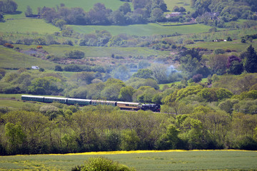 Fototapeta premium Steam train from Swanage to Corfe Castle, Dorset