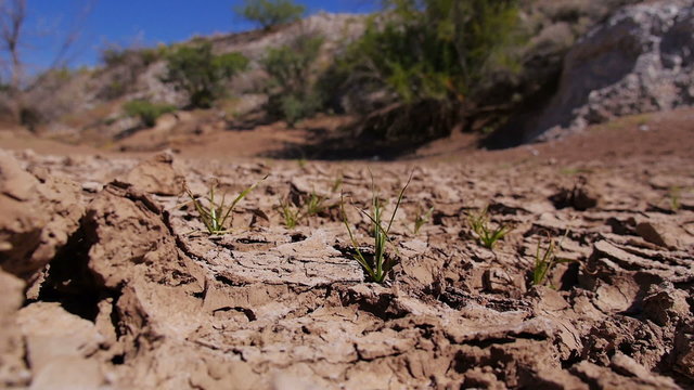 Dry Desert Land 3689