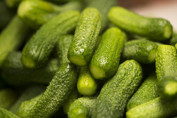 Cucumbers gherkins