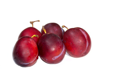 Obraz premium plum green