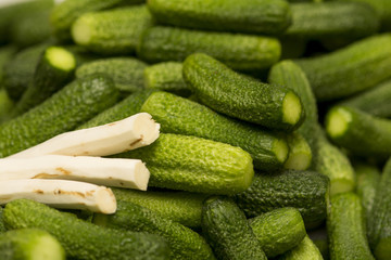 Cucumbers gherkins