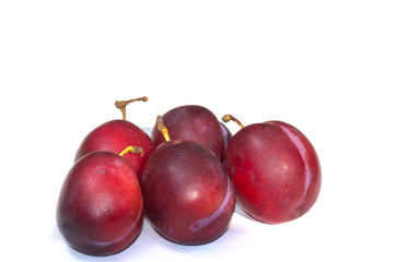  plum green