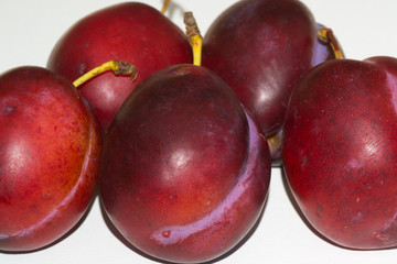 Obraz premium plum green