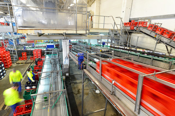 Industrieanlage mit Fliessband in einer Brauerei mit Bierkästen 