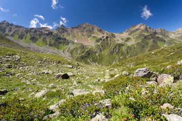Fototapeta na wymiar Alpages et sommets rocheux des Alpes