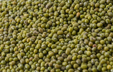 green beans on white background