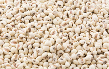 job's-tears of millet on white background