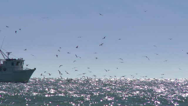 Commercial Fishing Boat on the Horizon