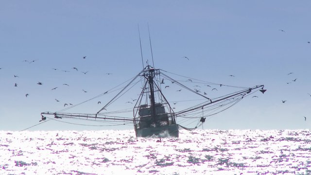 Commercial Fishing Boat at Sea on the Horizon