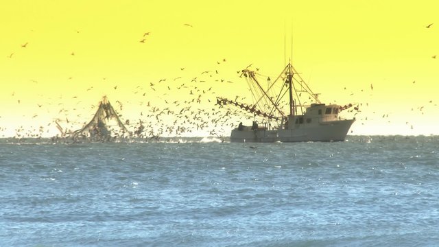 4K Commercial Fishing Boat 3844