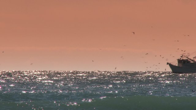 4K Commercial Fishing Boat 3838