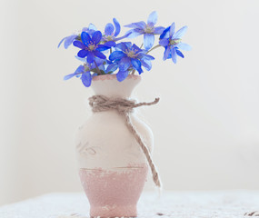 blue fresh snowdrops in vase