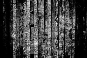 Obraz premium monochrome weathered background