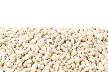 job's-tears of millet on white background