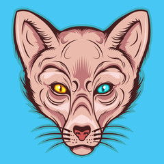 Sphynx cat mascot
