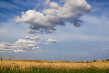 Obraz premium Early autumn in the desert