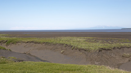 Mudflats and Mount Susitna