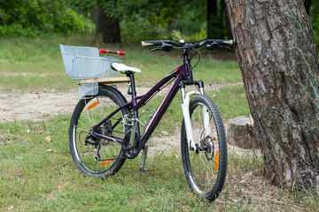 Fototapeta na wymiar Bicycle left unguarded near the tree in the forest