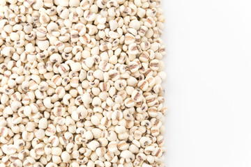 job's-tears of millet on white background