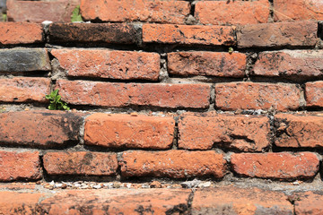 Red brick wall as a nicely textured background