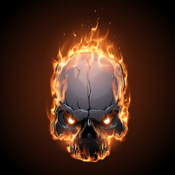 Skull in fire illustration