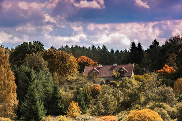 Fototapety na wymiar - Fototapeta24.pl