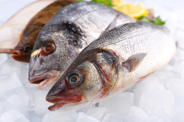 Fresh fishes with lemon on ice background
