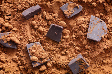 Organic raw cocoa powder with chocolate