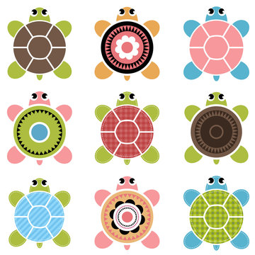 set of color turtles