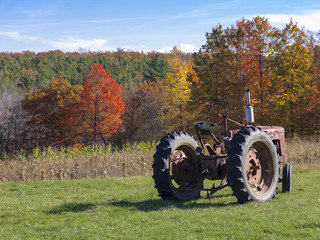 Old Red Tractor in Field With Autumn Leaves - 90753864
