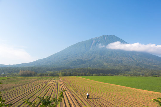 Mt. Yotei, Autumn