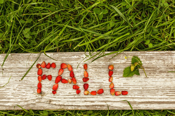 The inscription FALL made up of strawberries on a gray board on a background of green grass