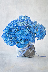 beautiful hydrangea flowers in a pot decorated with a heart. grunge paper background. 